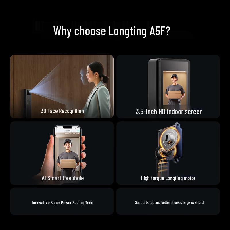 DESSMANN Longting A5F Smart Face Recognition Door Lock
