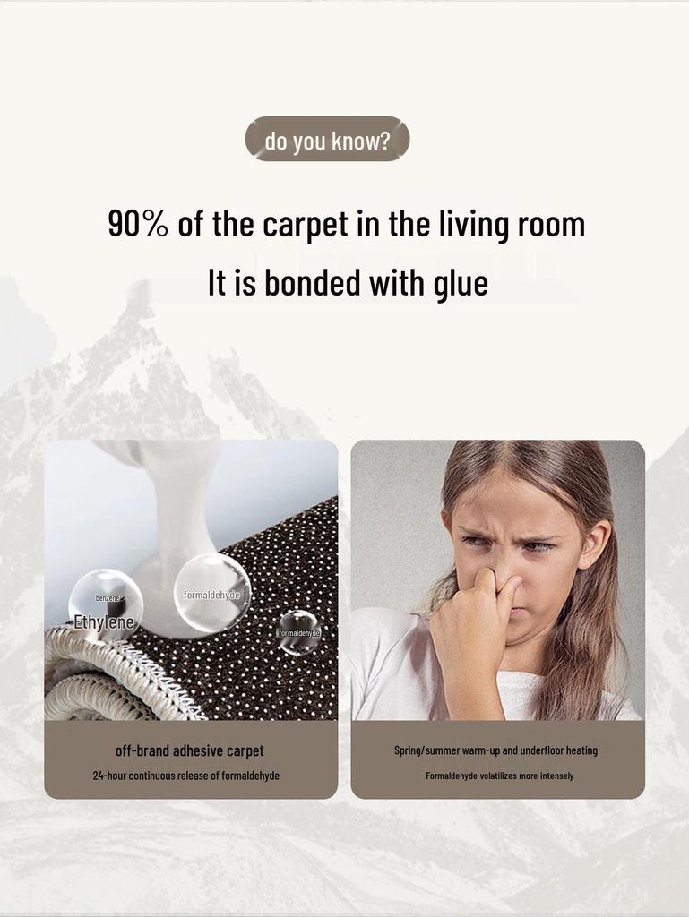 Waterproof Italian Luxury Minimalist Rug for Living Room, Bedroom, or Sofas