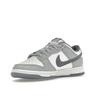 Nike Dunk Low SE Light Carbon Men Sneakers Grey FJ4188-100