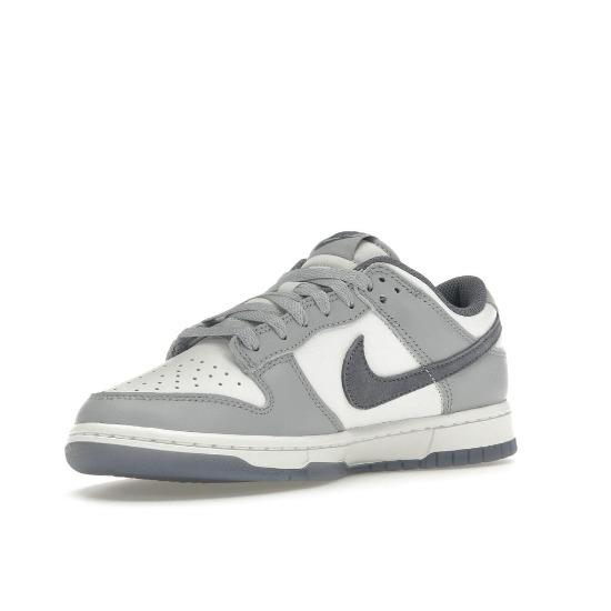 Nike Dunk Low SE Light Carbon Men Sneakers Grey FJ4188-100