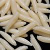 50Pcs 1.6cm Beige/Luminous Fishing Lures Maggot Grub Soft Fishing Lure Bionics Smell Worms Glow Shrimps Fishing Bait Accessories