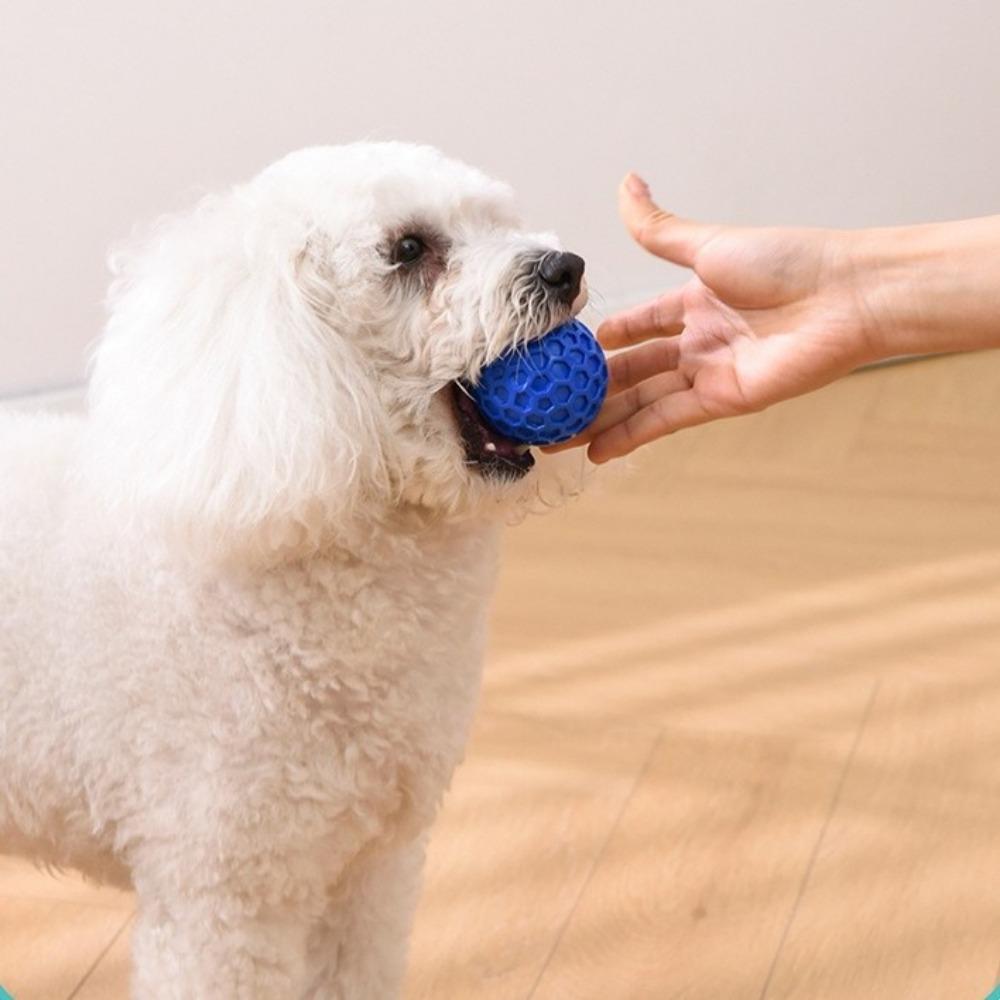 Rubber Dog Sound Ball Interactive Squeaky Dog Toy Easy To Clean Dog Chew Toy  Indoor Play