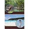 Telescope Night Vision Cellphone Photograph Monoculars for Birdwatching Hiking
