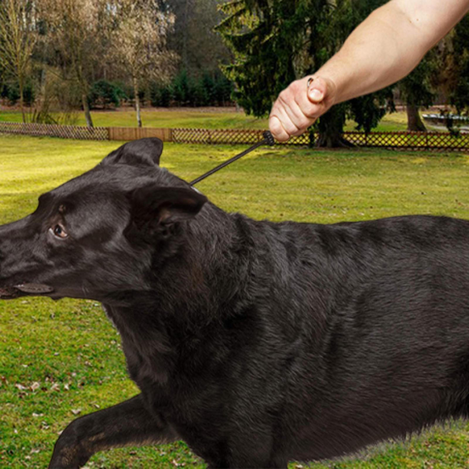 

Choke Collars for Dog Black Nylon Rope High Performance Adjustable Versatile Professional 55 cm