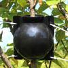 Garden Plant Rooting Device Air Layering Propagation Ball Reusable Root Growing Box with Secure Lock Clear Plant Grafting Ball