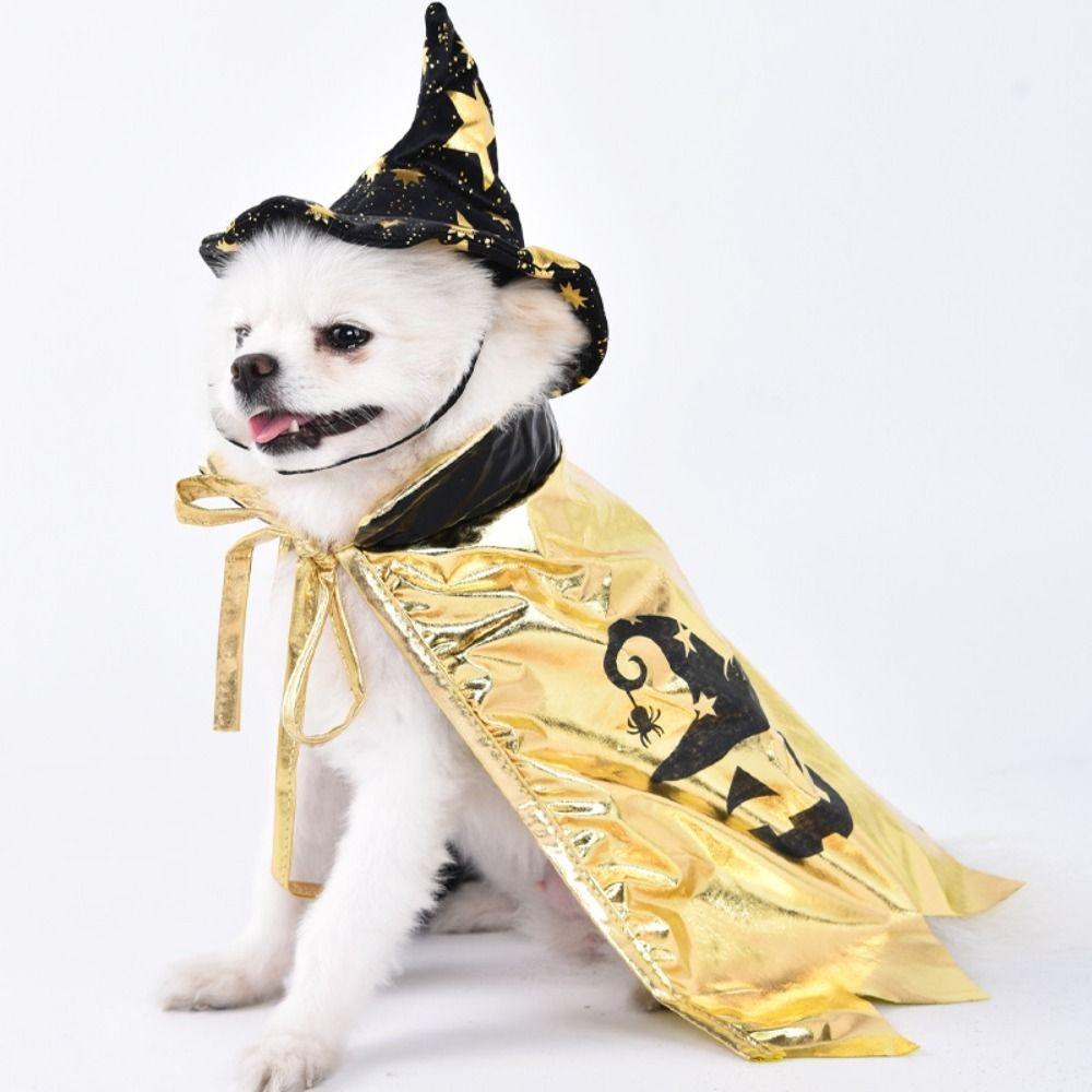 with Witch Hat Cat Cosplay Cloak Star Kitten Dress Funny Small Dog Knight Cape  Cat