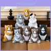Plush Cat Toy Pillow With Pp Cotton Fill For Girls And Kids Comfort