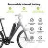 Electric Bike DERUIZ Quartz 28''  250w Motor City Ebike - 48V 13.4Ah Battery Up to 161km Range, Hydraulic Brakes, Torque Sensor, 8 Speed, Load 130kg