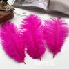 Ostrich Hair Colored Feathers 20-25Cm Wedding Table Lamp Decoration Stage Diy Material Clothing Accessories