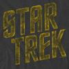 Star Trek Unisex Adult Distressed Logo T-Shirt
