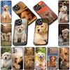Soft Cover for Samsung Galaxy S25 S24 S23 FE Plus Ultra S7 Edge A16 A15 5G S25+ Coque Phone Case Golden Retriever Dog