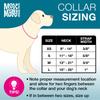 ROOKCRAN Max Molly Large Collared Monkey Dog Stylish and Ideal for Training Your 119719 & Collar, Cute, Pet,