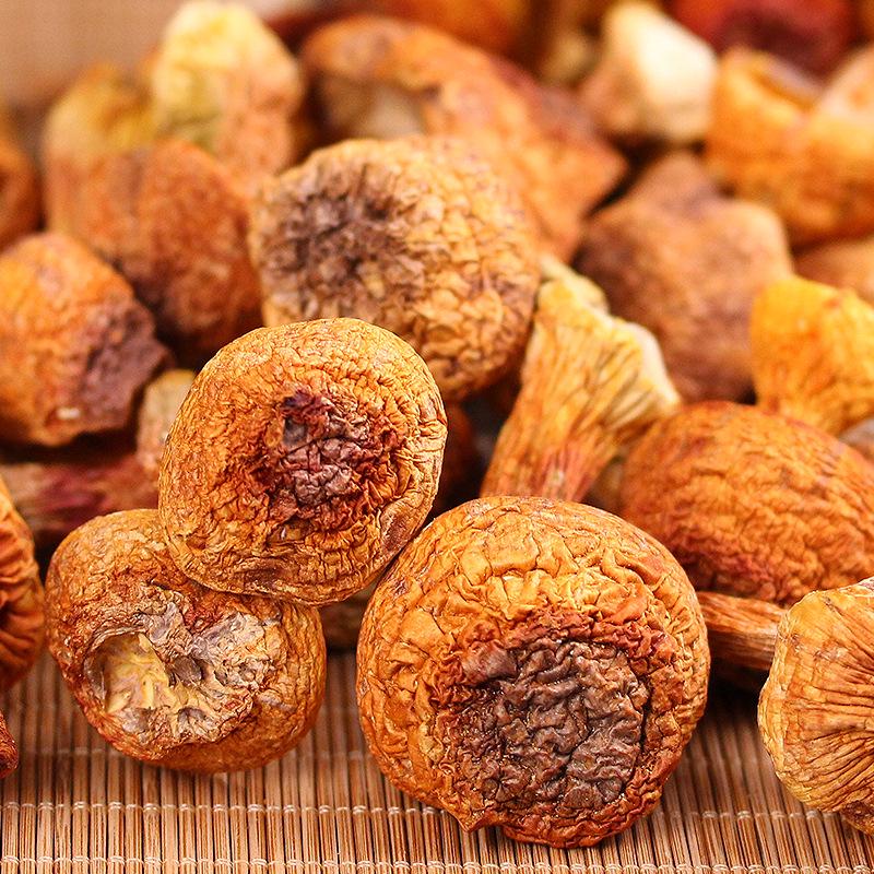Yunnan Dried Maitake and Matsutake Edible Mushrooms