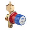Gas Reducer with Pressure Regulator (max 4 Bar, 8 Kg/h)