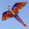 140cm x 120cm Celsius 55 x 47 Inch Dragon Kite Single Line Flying Kite with Tail 100m Flying Line for Kids Adults