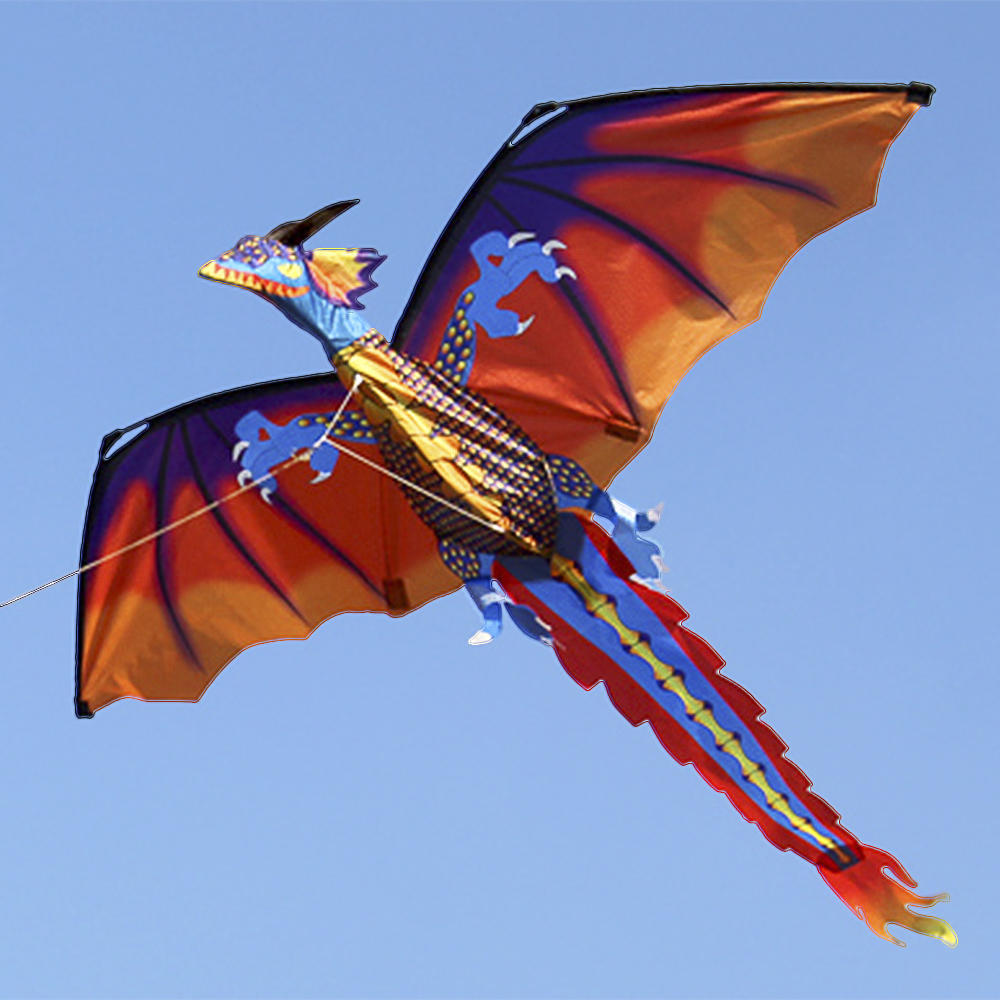140cm x 120cm Celsius 55 x 47 Inch Dragon Kite Single Line Flying Kite with Tail 100m Flying Line for Kids Adults