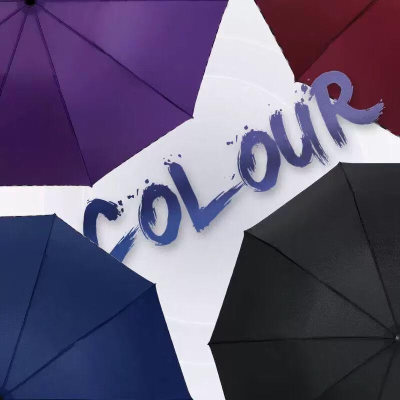 Yan Wang 10-Rib Large UV Protection Folding Umbrella