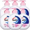 Walch Healthy Antibacterial Hand Wash