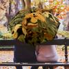 Chow Chow and Leaves Pattern, Automatic Folding Umbrella, Portable and Foldable Design, 8 Ribs, a Christmas or Birthday Gift.