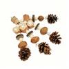 Natural Bird Chew Toy Cotton Rope Pinecone Parrot Toy Bite Resistant Birds Tearing Toy Cockatiels Training Cage Toys Accessries