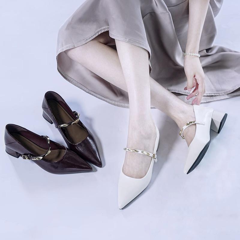 Pointed Single Shoes Medium Heel Thick Heel Women's Shoes 2025 New Autumn French Retro Fashion Versatile Mary Jane Small Leather Shoes