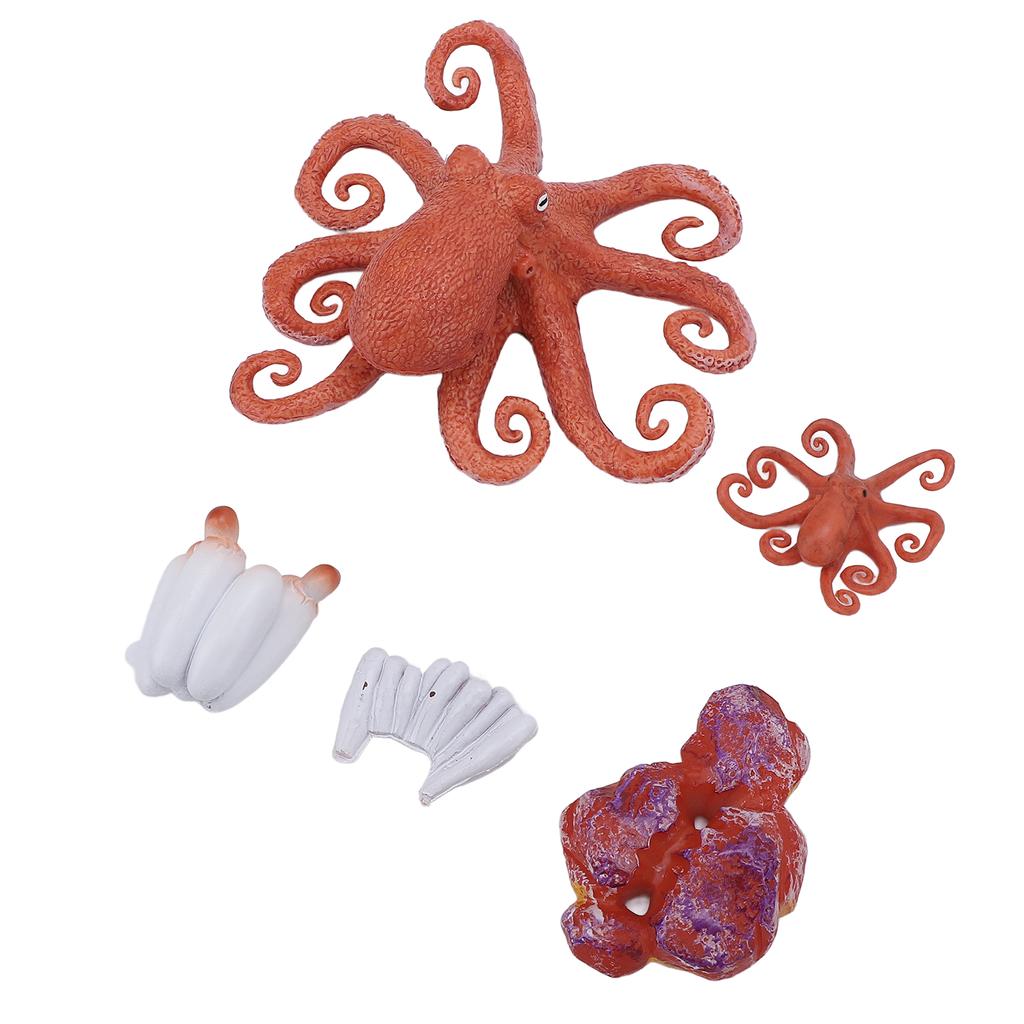 5Pcs Octopus Figurine Toy Educational Simulated Octopus Life Cycle Learning Toy Sea Animals Figurine