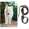 Pet Walking Training Dogs Leashes Medium Puppy Black,Brown