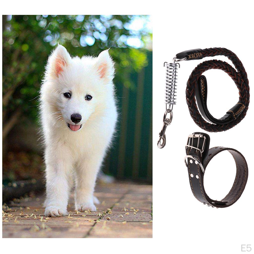 Pet Walking Training Dogs Leashes Medium Puppy Black,Brown