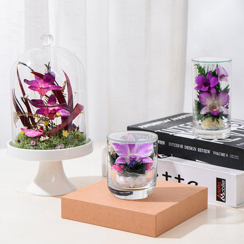 HFlora New Arrival Small Size Preserved Orchid in Glass Cloche-Valentine's Day & Graduation Home Decor Gift