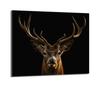 Glass Hob Protector 60x52 Deer