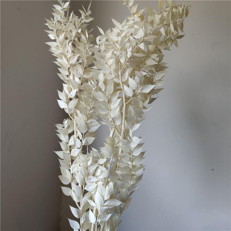 Rich Noble Leaf Dried Panda Bamboo Flowers - Photography Props for Weddings, Living Room, or Hotel Decorations
