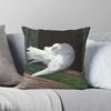 Sunbathing Barbary Dove Square Pillowcase Polyester Linen Velvet Pattern Zip Decorative Bed Cushion Cover