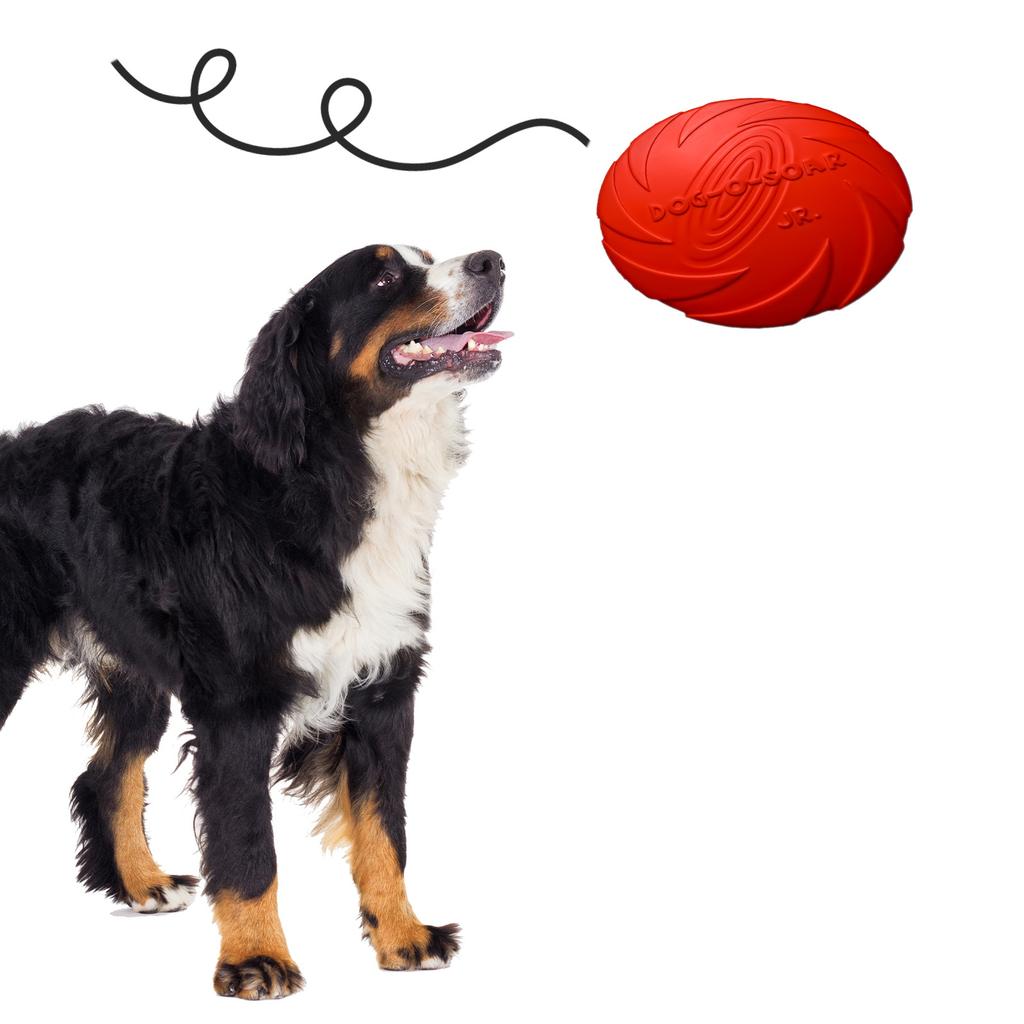 Pet Nova Toy - Rubber Frisbee Disc Red 15Cm