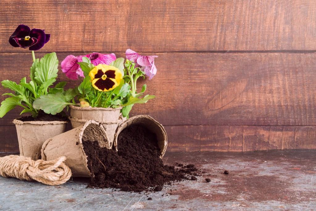 Garden Soil For Houseplants PSB