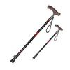 Pioneer Retractable Trekking Pole