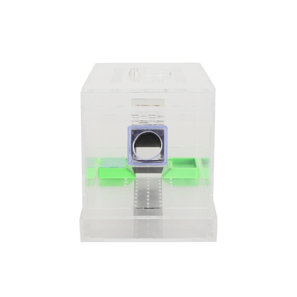 Akryl Fôring Siriss Holder Penn med Rør Insekt Kakerlakk Pleiesett Reptil Tank BoksS