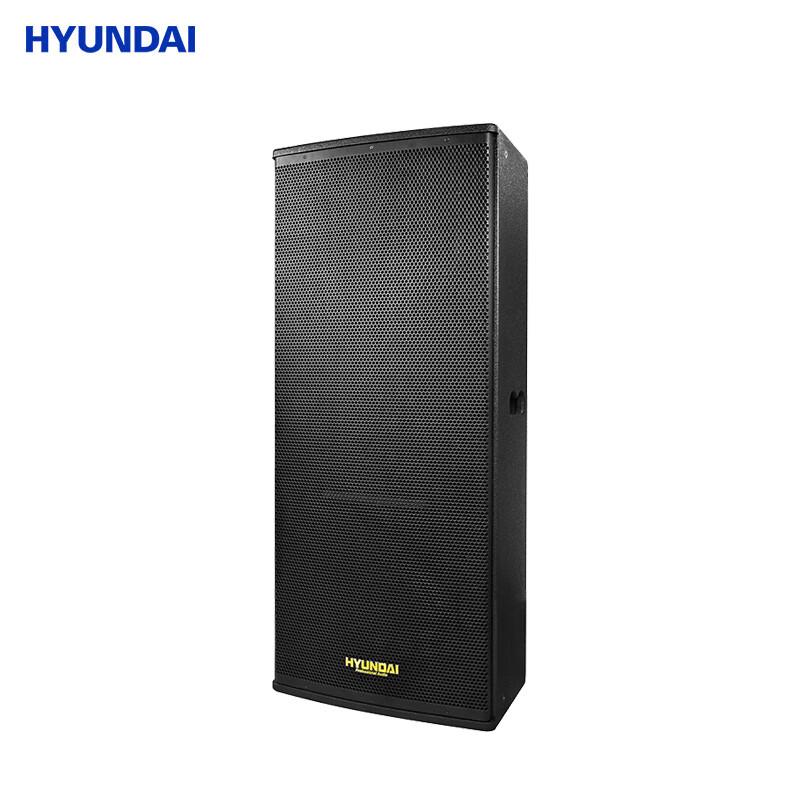 Hyundai HY125 Professional Dual 15-inch Full-Range Speaker CN plug (adapter included)