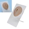 3D Silicone Belly Button Model for Piercing Practice Reusable Soft Elastic Human Navel Model Display