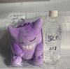 Sleepy Friends Plush Toy S Pokémon [Gengar]