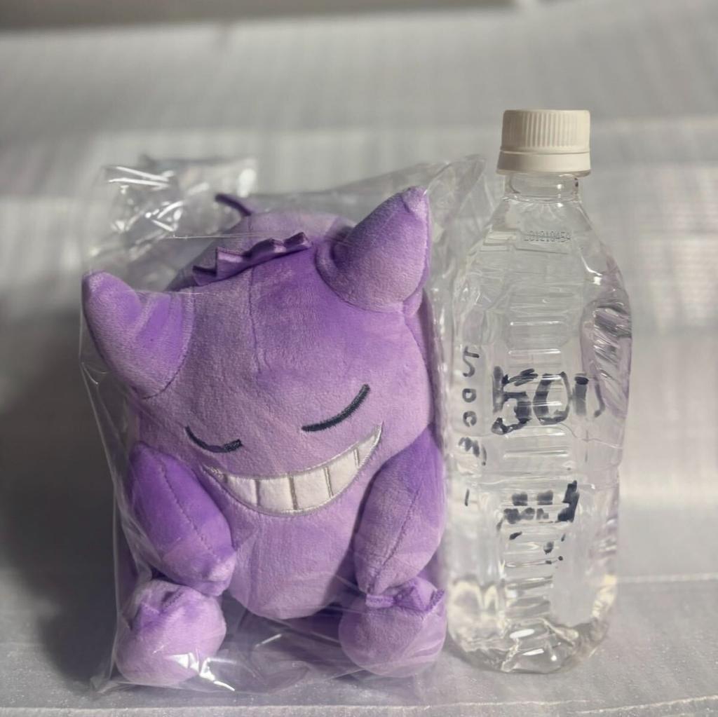 Sleepy Friends Plush Toy S Pokémon [Gengar]