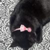 1pc/2pcs Adjustable Cat Collar With Bells Safe Release Buckle Plaid Flower Pattern Pet Neck Accessories (1.0 x 28CM)