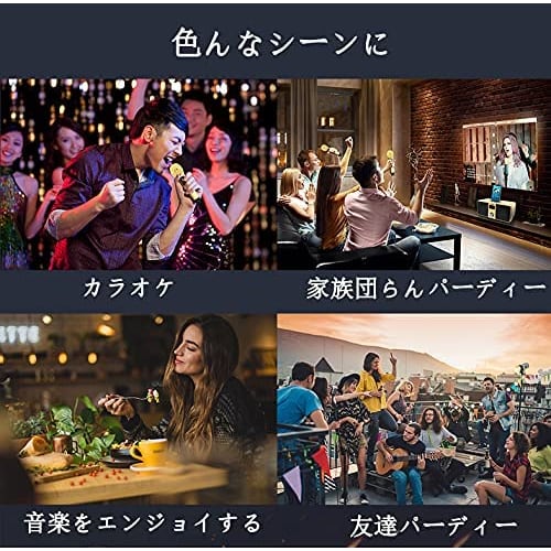 Karaoke Microphone, Karaoke Machine with Bluetooth and Wireless Microphone, Professional Karaoke Singing Machine for Home KTV, with Two Handheld Micro