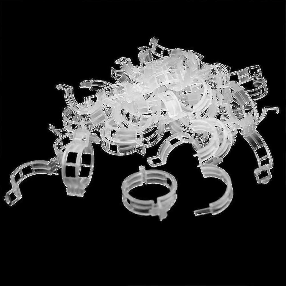 200 Pieces Tomato Plant Clips, Climbing Clips, Garden Plastic Clips, For Vegetables, Plants, Tomatoes-white - Ri