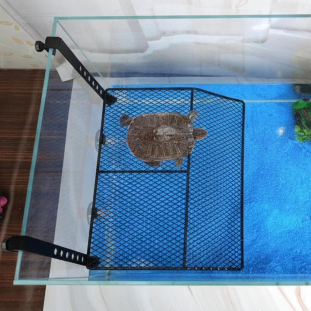Schildkröten Sonnenplattform Robuste Kletterrampe Leicht für Wasserschildkröten