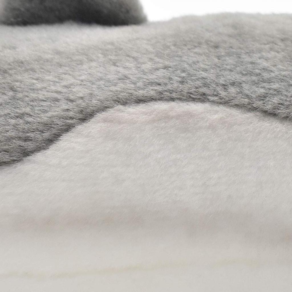 BH5042 HANSA Dolphin 40