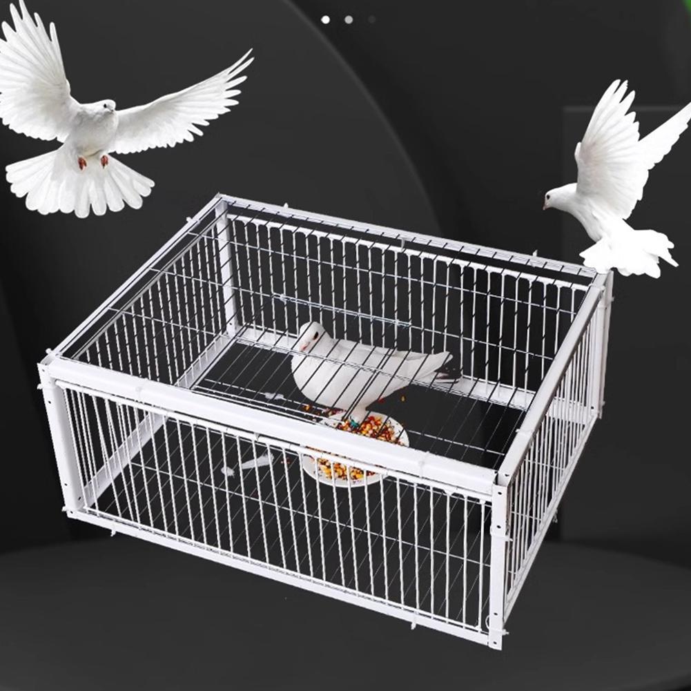Auto Trap Bird Cage Rabbit Cage Mouse Cage Entry Only No Exit Thickened Encrypted Automatic Pigeon Collecting Pigeon Bird Cage