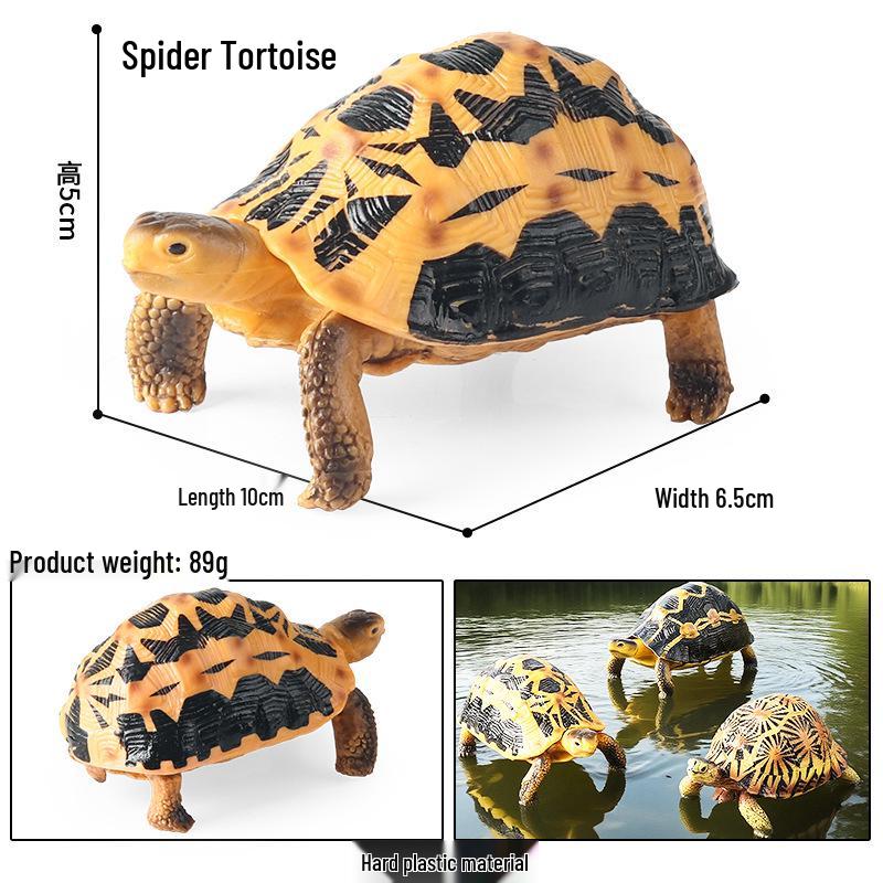 Cross-Border Children's Cognitive Amphibian & Reptile Tortoise Model Fish Tank Ornament Toy