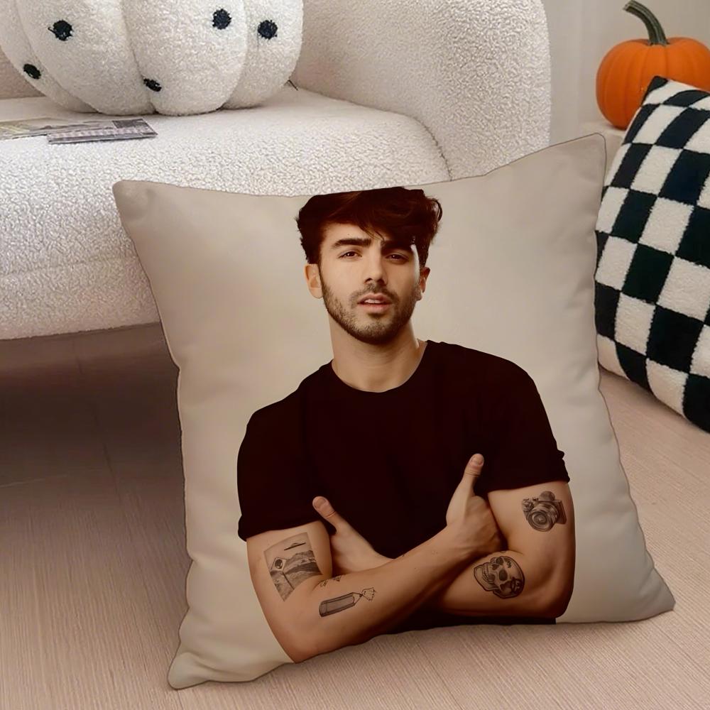 Creative Funny Argentine Creator FFede Vigevani Cushion Cover Throw Pillow Cover Hidden Button Durable Polyester Chair Cushion