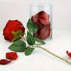 Red Velvet Rose Flower Ring Box Creative Jewelry Display Box  Valentine's Day Gift
