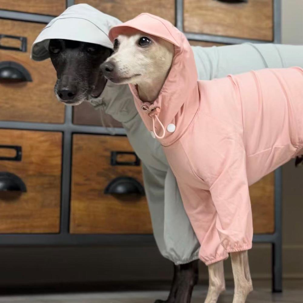 Spring Summer Pink Raincoat For Italian Greyhound Windproof Waterproof Grey Jacket For Whippet Dog Adjustable Hat Coat